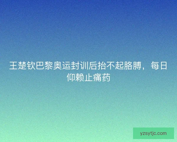 王楚钦巴黎奥运封训后抬不起胳膊，每日仰赖止痛药